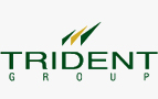 trident group