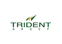 trident group